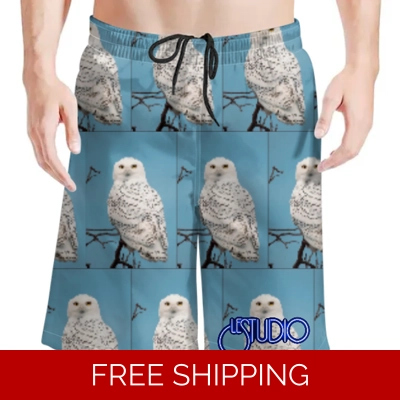 Le Studio Owel Beach Shorts